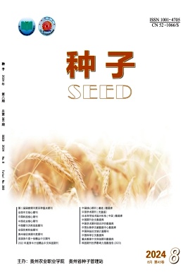 种子